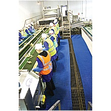 Blue Vinyl Strip Matting for Wet and Dry Areas