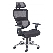 Chachi Ergonomic Mesh Office Chair with Split Back Support