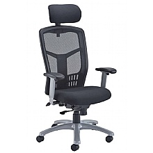 Fonz High Back Mesh Task Chair with Headrest & 1D Arms